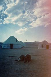Yurts.
