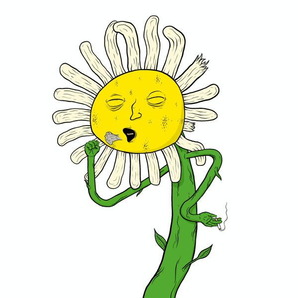Daisy :O