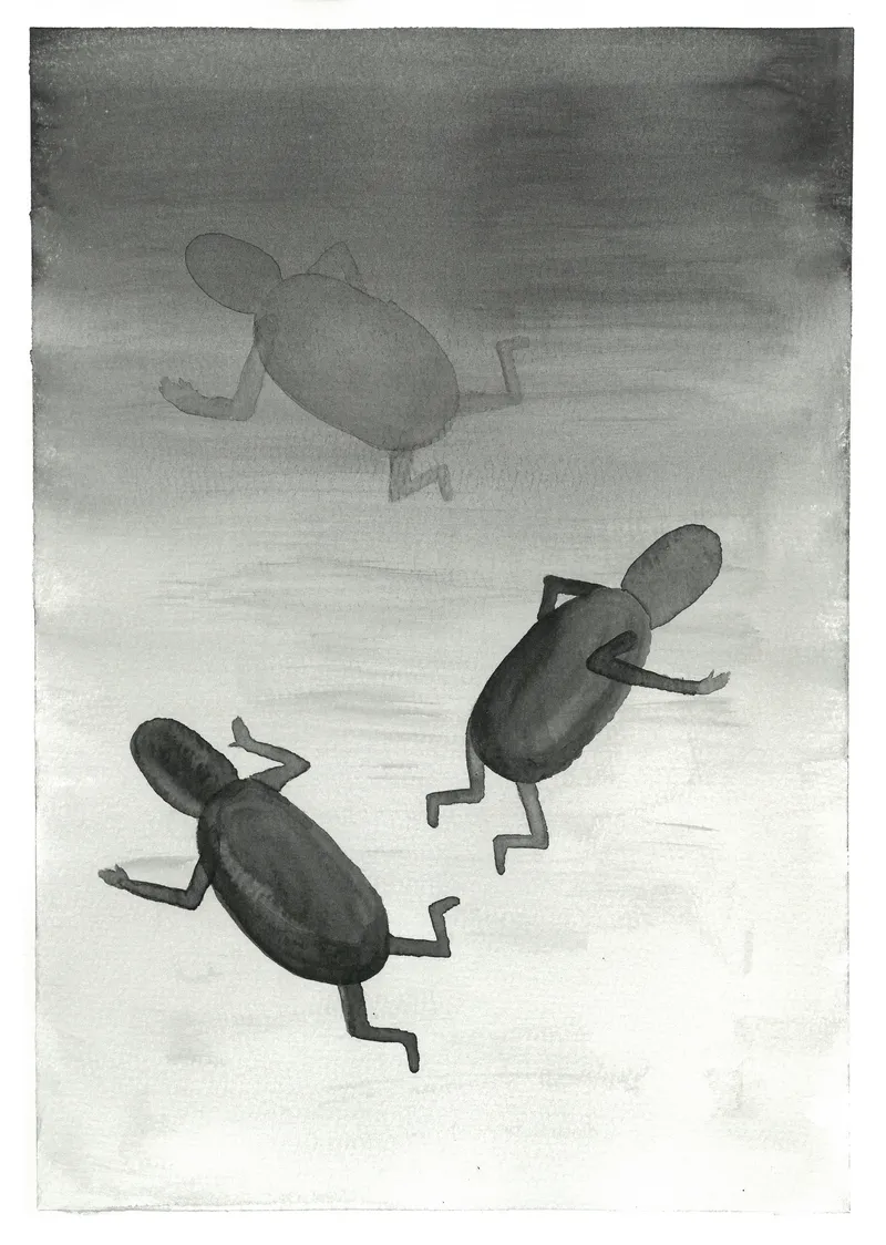 It's foggy out there